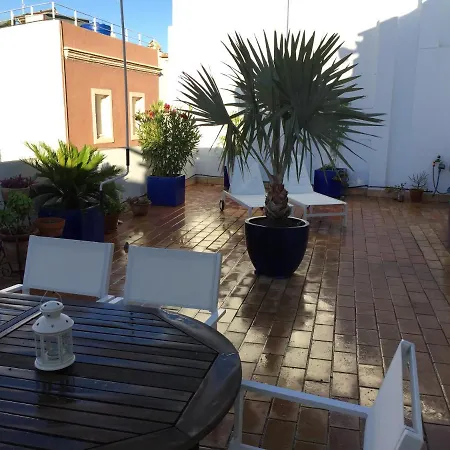 Apartament La Terraza De San Pedro Kadyks Zewnętrze zdjęcie