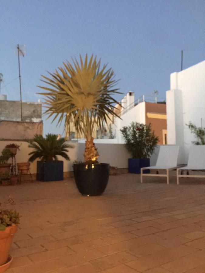 La Terraza De San Pedro Apartament